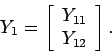 \begin{displaymath}
Y_1 = \left[ \begin{array}{c}
Y_{11} \\ Y_{12}
\end{array} \right].
\end{displaymath}