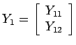 $\displaystyle Y_1 = \left[ \begin{array}{c} Y_{11} \\ Y_{12} \end{array} \right]$